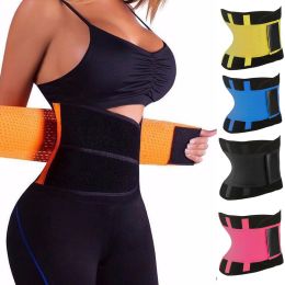 Waist Trainers for Men Women Waist Trimmers Workout Sweat Band Belt for Back Stomach Support (Color: BLACK)